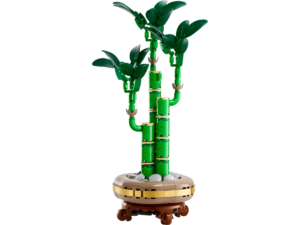 lucky bamboo 10344